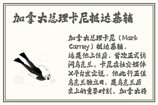 成人乱码一区二区三区AV